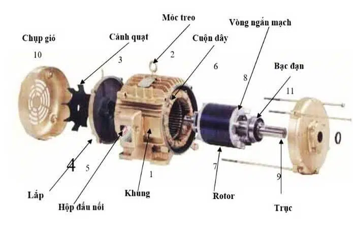 khong co dong bo rotor long soc